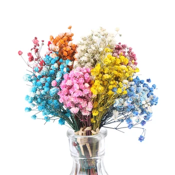 1Bouquet Mini Daisy Star Kimp Kuivatatud Lilled Värvikas Looduslike Taimede Säilitada Õie Pulm Home Decor Foto Rekvisiidid