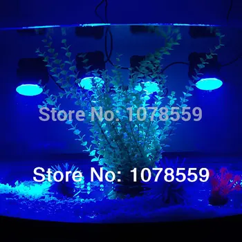 #Cu5 5 to1 Uus 36 LED Akvaariumi Veekindel Kohapeal Kerge veealuse vaatluse sukeldatavad vee aed tiigi Kala tank purskkaev