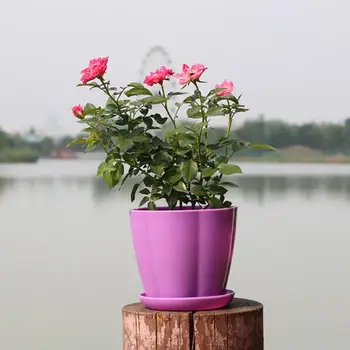 1tk Loominguline Värviline Plastikust Mini Taim lillepotis Läige Planter Home Garden Teenetemärgi koos Taldrik Plaat