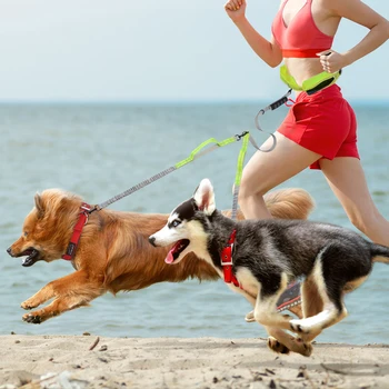 Käed-vabad koer rihma otsas töötab reguleeritav vöökoht plii trossi koolitus jalutusrihmad elastne peegeldav topelt hakkama lemmiklooma jalutusrihma kaks koera