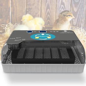 Kuum Automaatne Inkubaator 4-35 Tibu muna Suure Mahutavusega Incuator Digitaalne Temperatuuri Kontroll Brooder Kvaliteedi Haudejaama Masin