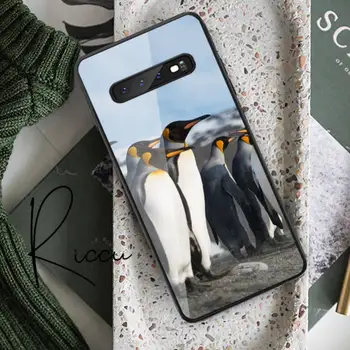 Loomade Penguin koomiks armas Telefoni Juhul Karastatud Klaas Samsung S20 Pluss S7 S8 S9 S10E Plus Märkus 8 9 10 Pluss A7 2018