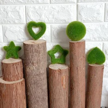 DIY Kunstlik Simulatsiooni Roheline Kapseldatud Taim Flokeerimisega Armastus Südames Palli Star Bonsai Võltsitud Lille Muru Kodu Aed Decor Kaunistused