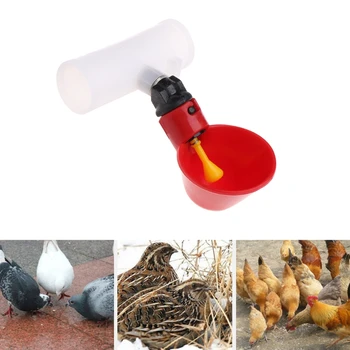 Kõrge Kvaliteediga Materjali Kodulindude Joomist Tassi Plastikust Automaatne Joomine Purskkaevud Kana Kana Lindude Toitjad Kodulindude Tarvikud