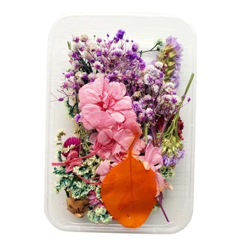 1Box Segatud Kuivatatud Lillede Kroonlehed Kaunistustest Käsitöö DIY Telefoni Kate Decors