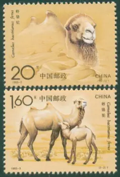 2tk/Lot Uus Hiina Post Tempel 1993-3 Wild Camel Templid MNH