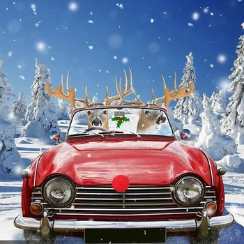 Auto Põhjapõdra Sarved & Nina jõuluehe Sõiduki Kostüüm, Akna, Katuse-Top ja Iluvõre Rudolph Põhjapõtrade Jingle Bell Xmas G
