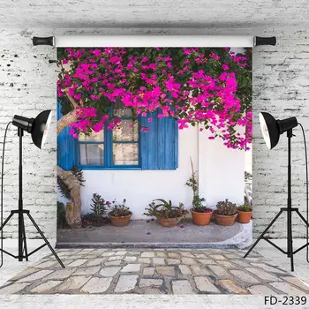 Lihtne ja ilus Valge Maja sinine aken, lilla lilled ja puud ainult ilus foto taust taust fotograafia
