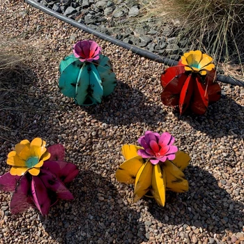 Maamees Metallist Cactus Aed Art Mini Cactus Hoovis Dekoratiivsed Kaunistada Oma Aeda, Baar, Elutuba, Mängude Tuba, Bassein, Garaaž