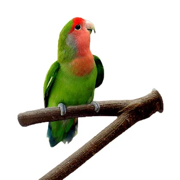 15cm Papagoi Lemmikloom Töötlemata Puidust Kahvel Seista Hammas Mänguasi Hamster Branch Ahvenat Lindude Puuri