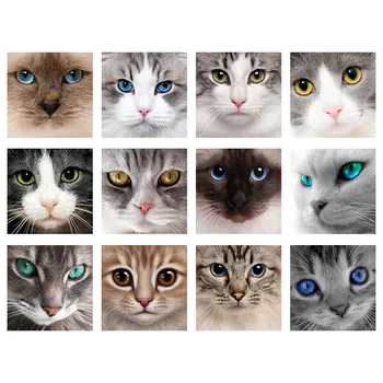 Täis Puurida 5D DIY Loomade Cat Eye Diamond Tikandid Maali Diamond ristpistes Käsitöö Mosaiik Art Laste Kingitus