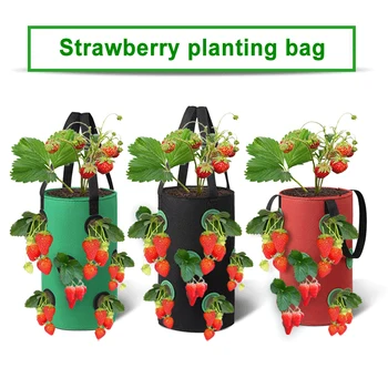 Rippuvad Aiad Maasika Planter Augud Maasika Õie Kasvatada Poti Maasika Root Taimed Aias, Tööriistad, Potid De Jardin