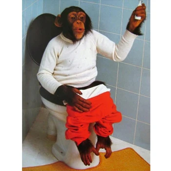 Diamond Maali diy Orangutang istub wc diamond tikandid Vannitoa aksessuaar, käsitöö, kivid 5d diamond mosaiik