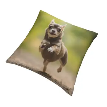 Luksus Chihuahua Koer Viska Padi Kaane Kodu Dekoratiivsed Kohandatud Looma Mustriga Padi 40x40 Pillowcover Diivan