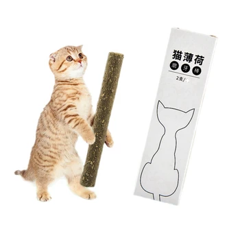 2 Tk Pet Catnip Molaarne Kinni Kehtestatud Kasside Interaktiivne Lemmikloom Kass Teaser Loomulik Närida Mänguasi