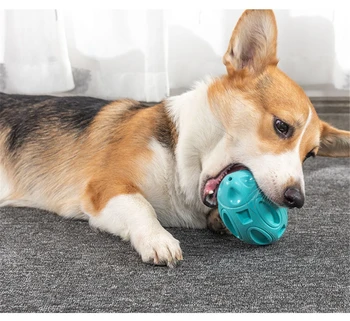 Lemmiklooma koera mänguasi hammustada-vastupidavad molaarne kutsikad, kutsikas heli palli interaktiivne mänguasi lemmikloom kass ja koer närida mänguasi hammaste puhastamine palli
