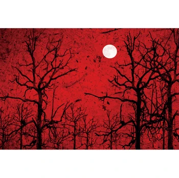 Laeacco Halloween Teema Taustaks Punane Metsa Kuule, Vares Beebi Sünnipäeva Fotograafia Taust Foto Stuudio