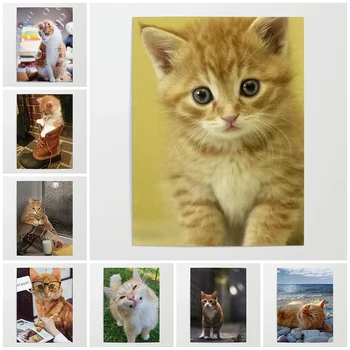 Modulaarne Hd Prindib Pildid, Maalid Loomade Kodu Kaunistamiseks Lõuend Armas Kass Avatari Poster Seina Kunsti Elutuba Raamistik