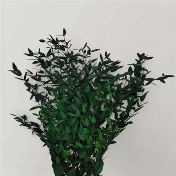 Naturaalne Eukalüpt, Lehed, Oksad Konserveeritud Peen Leht Taime Reaalne Touch Kuivatatud Lilled Eukalüpt Vanik Pulm Kodu Kaunistamiseks