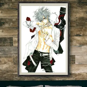 272 Vampire Knight Anime Seina Siidist Riie Poster Art Teenetemärgi Kingitus