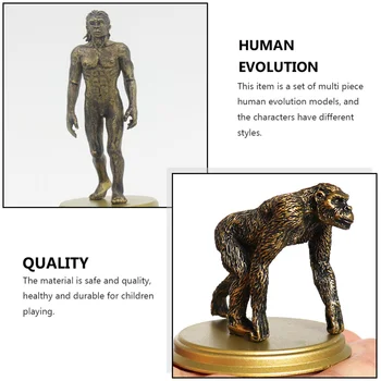 5tk Inimese Evolutsiooni Naljakas Primitiivne Mudel Loominguline Lapsed (Tume Kuld)