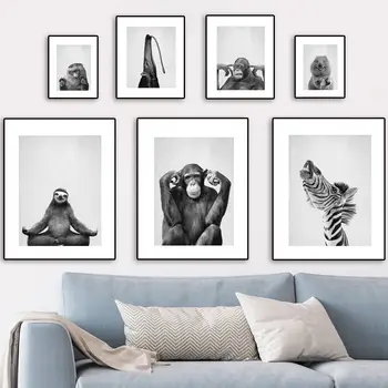 Zebra Orangutang Anteater Saarmas Jooga Laiskus Põhjamaade Plakatid Ja Pildid Seina Art Lõuend Maali Seina Pildid Elutuba Decor