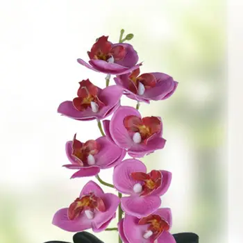 5Heads Kunstlik Butterfly Orchid Kapseldatud Lill Bonsai Kodu Aia Kaunistamiseks Office Magamistuba Ornament Võltsitud Taimed, Lilled