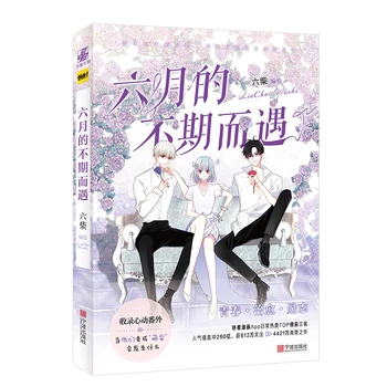 2 Raamatut Increnible Juuni Koomiksiraamat Liu Cai Töötab Campus Armastus Noorte Manga Ilukirjandus Naljakas Armastan Raamatuid