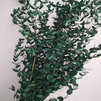 Naturaalne Eukalüpt, Lehed, Oksad Konserveeritud Peen Leht Taime Reaalne Touch Kuivatatud Lilled Eukalüpt Vanik Pulm Kodu Kaunistamiseks