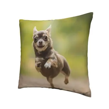 Luksus Chihuahua Koer Viska Padi Kaane Kodu Dekoratiivsed Kohandatud Looma Mustriga Padi 40x40 Pillowcover Diivan