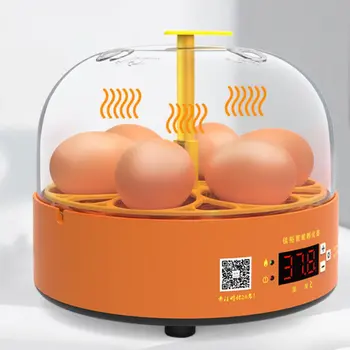 Mini Digital 6 Muna Inkubaator Automaatne Temperatuuri Brooder Kana, Part Linnu Muna Hatcher Talu Kodulinnud Haudejaama Masin