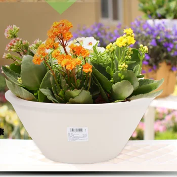 Cute Minimalist Big Flower Pots Stand Plastic Indoor White Creative Flower Pots Cactus Resin Maceteros Garden Accessories DG50FP