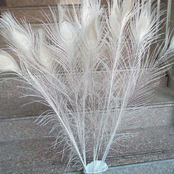 50 TK/Looduslik Valge Paabulinnu Suled Silma, 10 ja 12 Tolli Peacock Feather Pulm Teenetemärgi