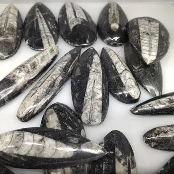 1tk 7-10cm Looduslikku õige Nurga all fossiilsete Crystal Isend Haruldane Poleeritud Laekuva looduslikud kivid ja mineraalid