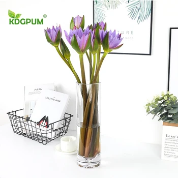 Kaasaegse Loomingulise Värvi Silindri Läbipaistev Vaas Tabel Flower Arrangement Klaas Konteiner Lihtne Kodu Kaunistamiseks Kaunistused