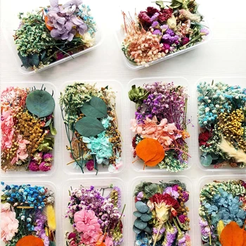 1Box Segatud Kuivatatud Lillede Kroonlehed Kaunistustest Käsitöö DIY Telefoni Kate Decors