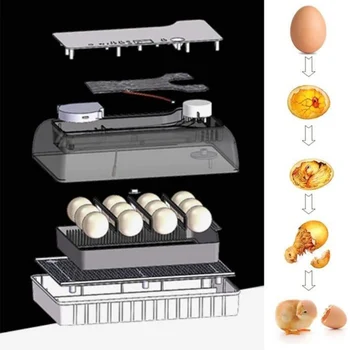 Kuum Automaatne Inkubaator 4-35 Tibu muna Suure Mahutavusega Incuator Digitaalne Temperatuuri Kontroll Brooder Kvaliteedi Haudejaama Masin