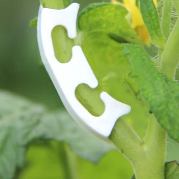 50TK Taime Toetavad Videoklipid Plastikust Pookimine Kindlaksmääramise Tööriist Põllumajanduse Kasvuhoonegaaside Aed Asjade Anti-painutamine Kõrge Kvaliteediga