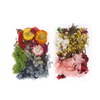 DIY Crafts täitematerjalid Kuivatatud Lilled UV-Epoksü Vaik Ripats Kaelakee