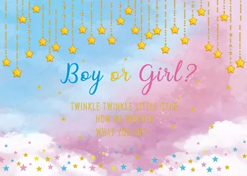 Poiss või Tüdruk Baby Shower Tausta Roosa ja Sinine Soolise Paljastada Isiku Kaunistamiseks Värviline Unistav Sky Oh Baby Partei Taust